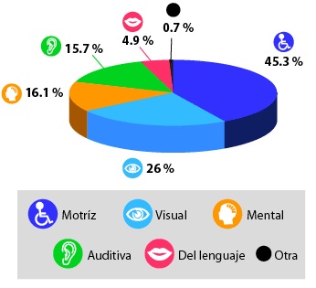 El 45.3% de la población tiene discapacidad motriz, el 26% visual, el 16.1% mental, el 15.7% auditiva, el 4.9% del lenguaje, y el 0.7% de otro tipo.